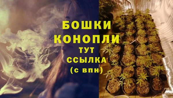 трава Нея