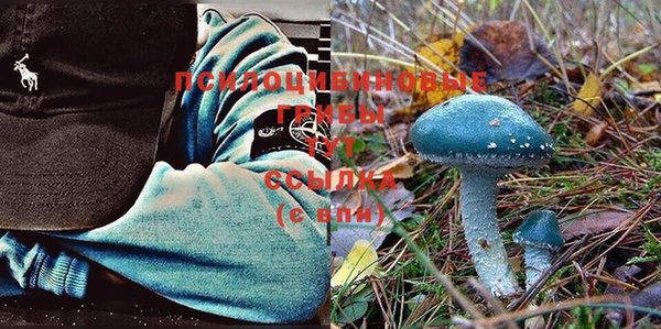 трава Нея
