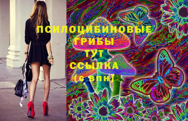 ECSTASY Нефтекумск