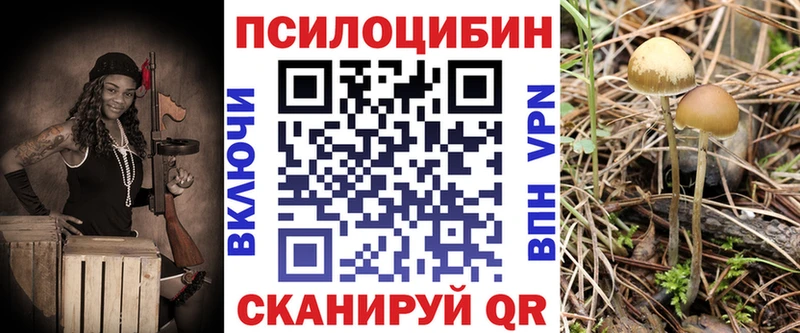 Псилоцибиновые грибы MAGIC MUSHROOMS  Купить закладки  Тырныауз 